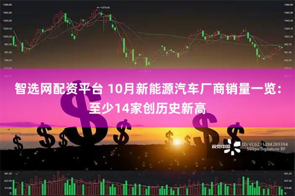 智选网配资平台 10月新能源汽车厂商销量一览：至少14家创历史新高