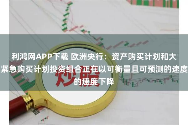 利鸿网APP下载 欧洲央行：资产购买计划和大流行紧急购买计划投资组合正在以可衡量且可预测的速度下降