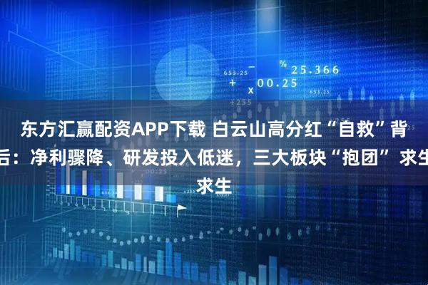 东方汇赢配资APP下载 白云山高分红“自救”背后：净利骤降、研发投入低迷，三大板块“抱团” 求生