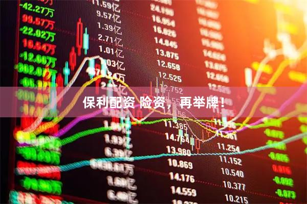保利配资 险资，再举牌！