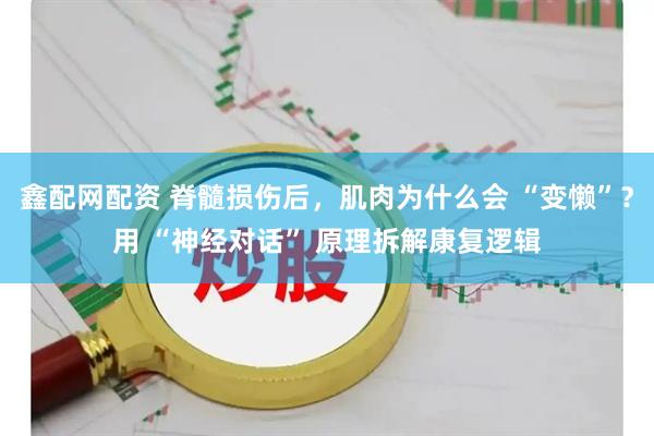 鑫配网配资 脊髓损伤后，肌肉为什么会 “变懒”？用 “神经对话” 原理拆解康复逻辑
