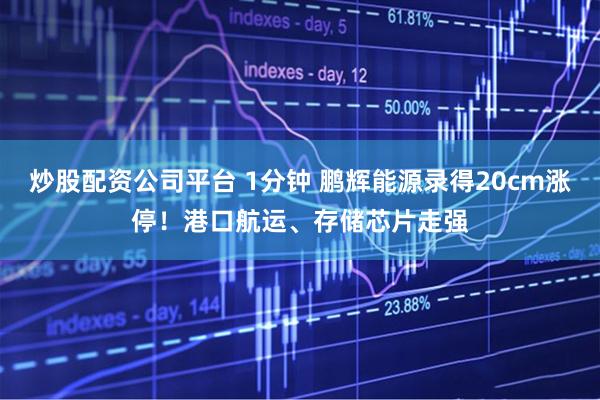 炒股配资公司平台 1分钟 鹏辉能源录得20cm涨停!港口航运、存储芯片走强